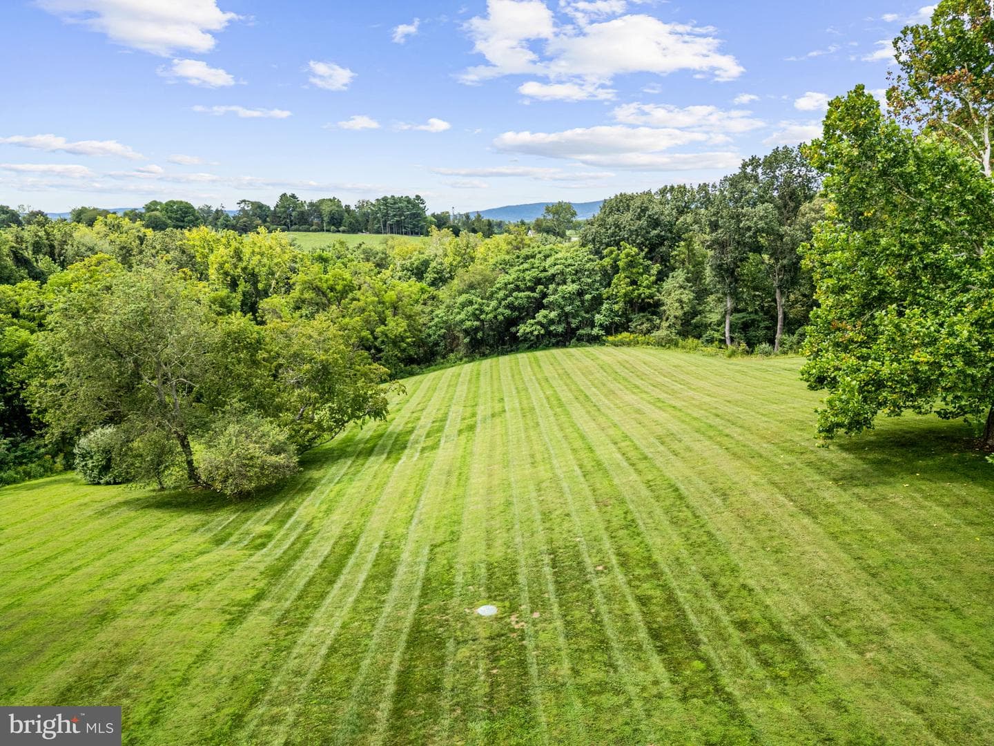 23117 Pantherskin Lane photo 69