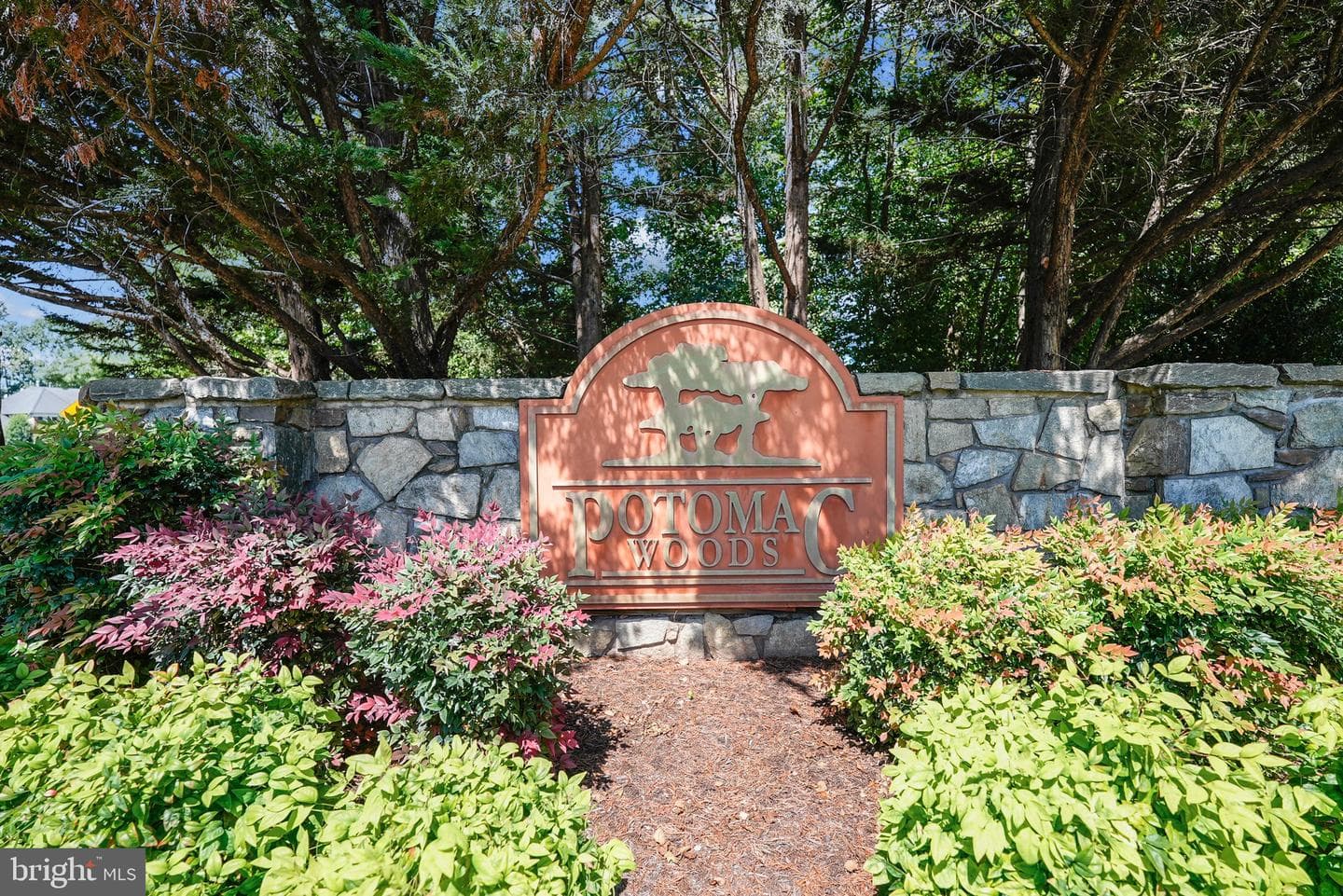 47199 Brasswood Place photo 41
