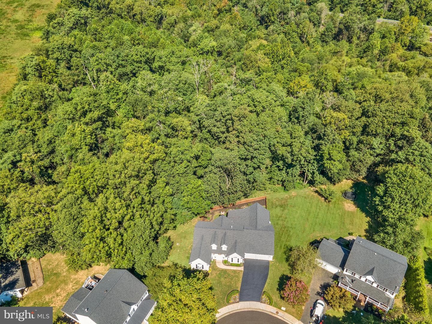 409 Bolingbrook Court photo 64