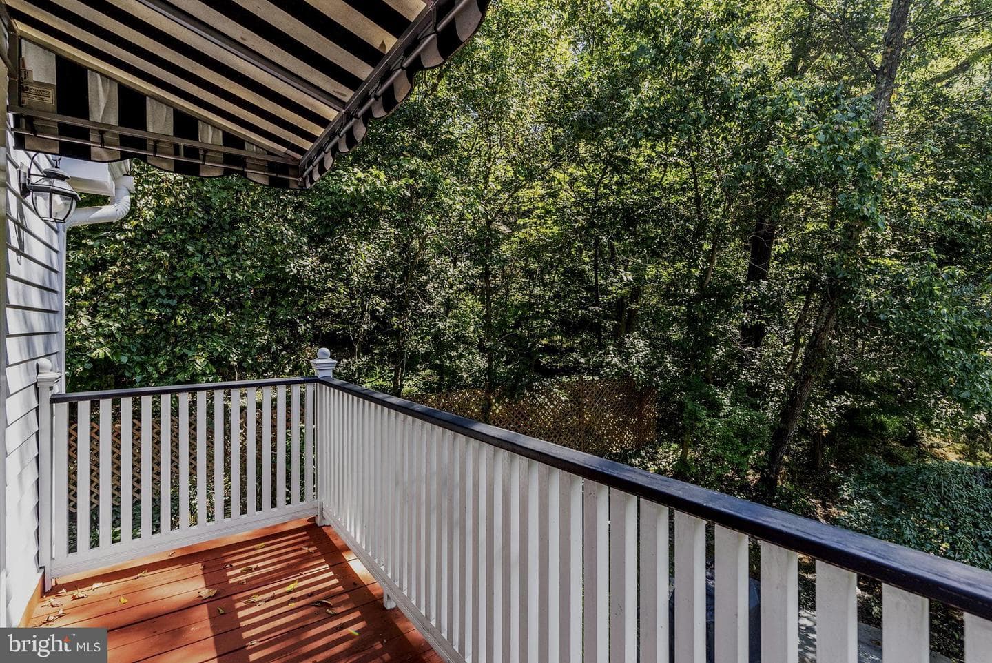 13232 Loyalty Road photo 45