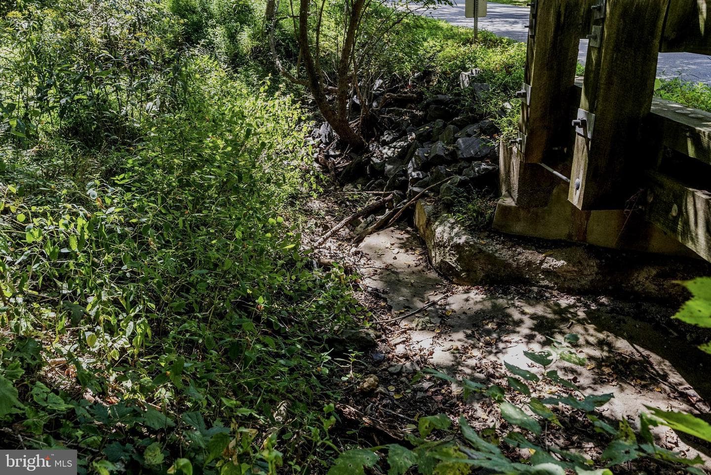 13232 Loyalty Road photo 91