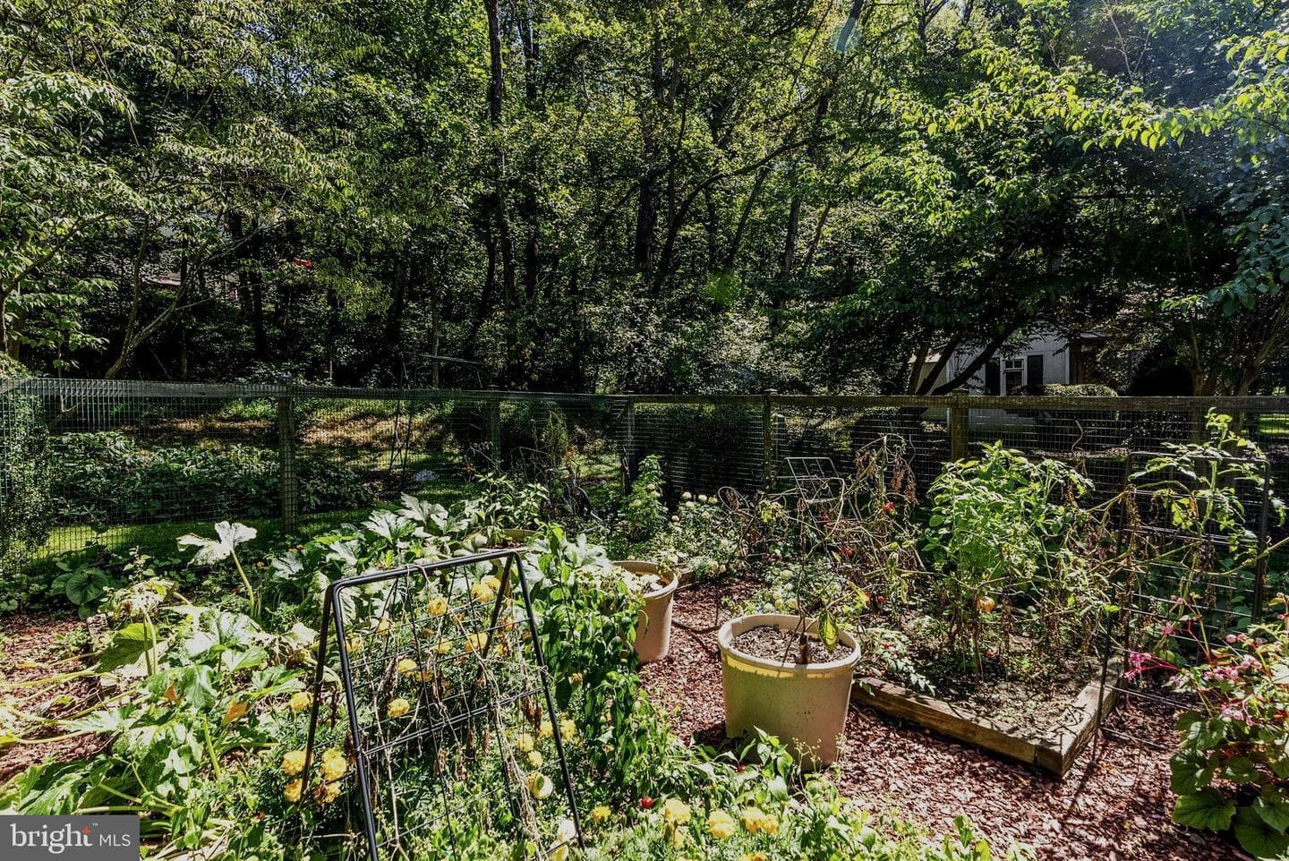 13232 Loyalty Road photo 92