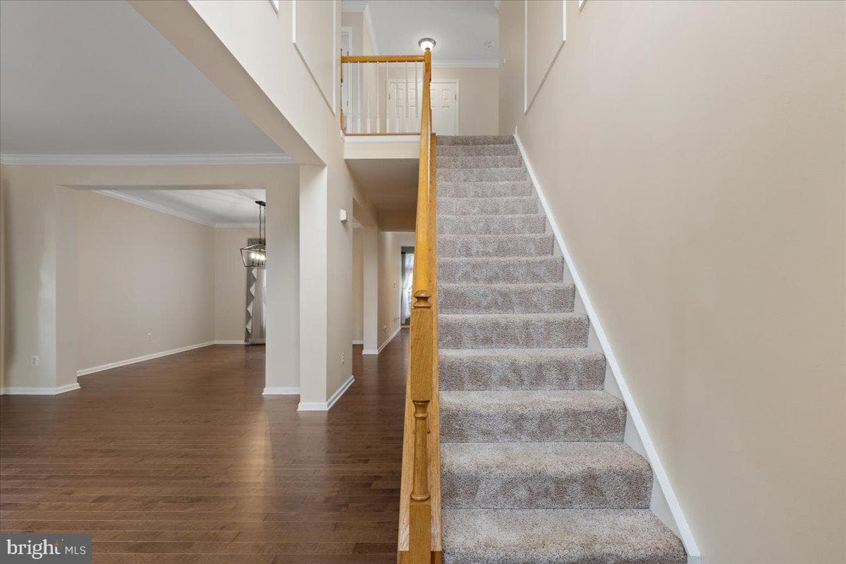 26105 Springdale Drive photo 53