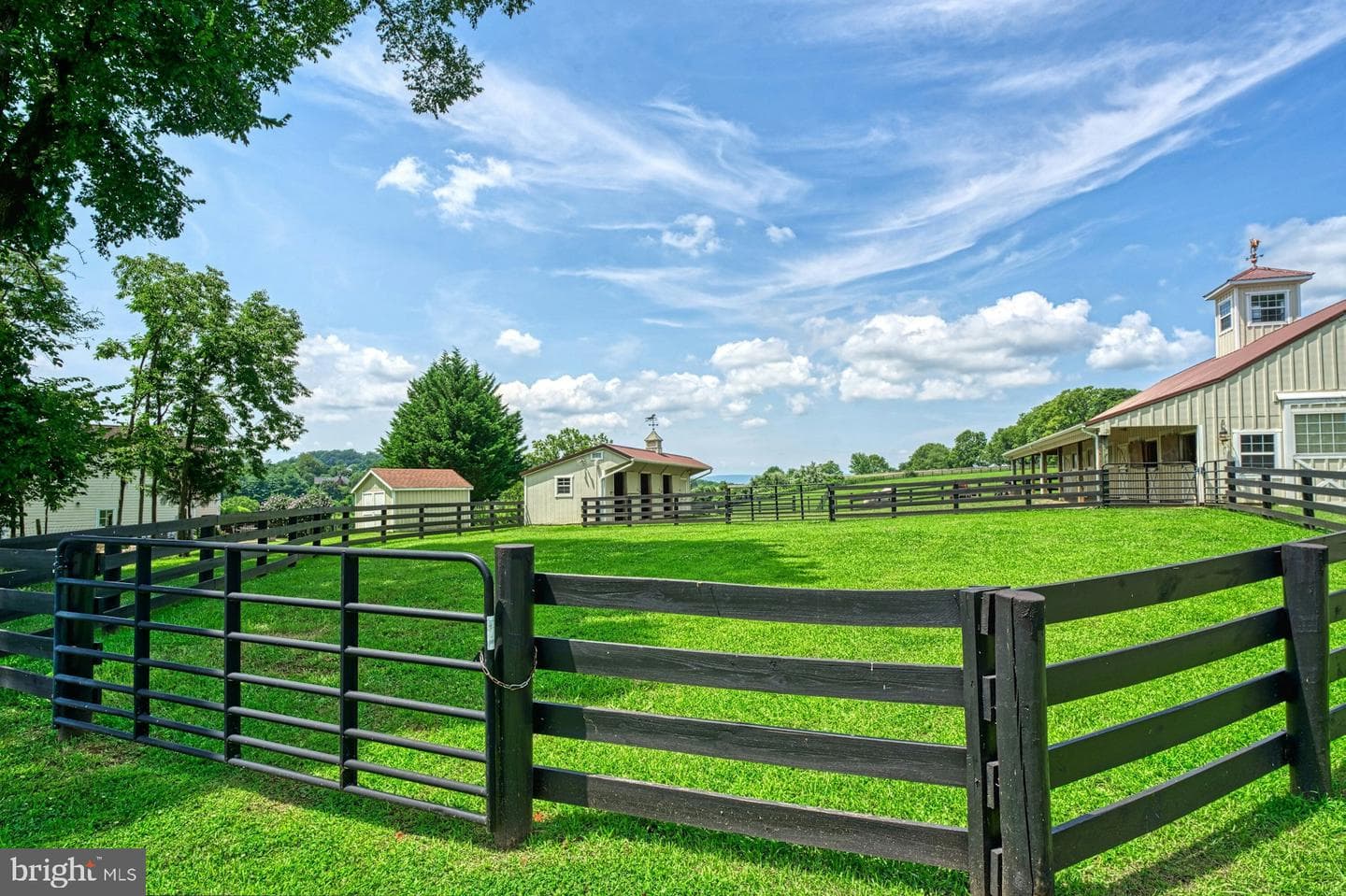 40954 Canter Lane photo 122