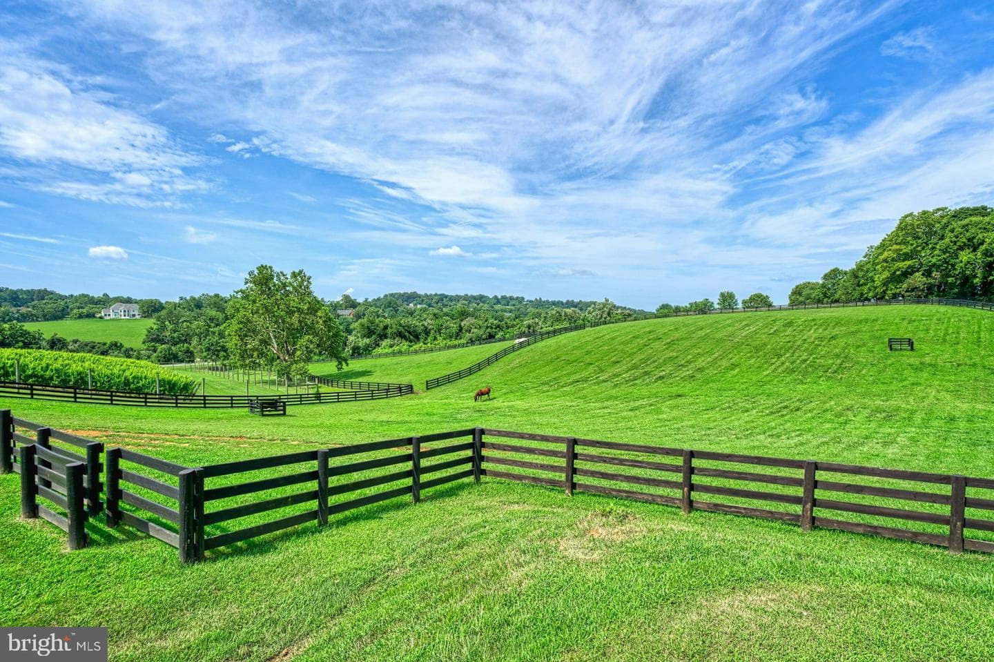 40954 Canter Lane photo 123
