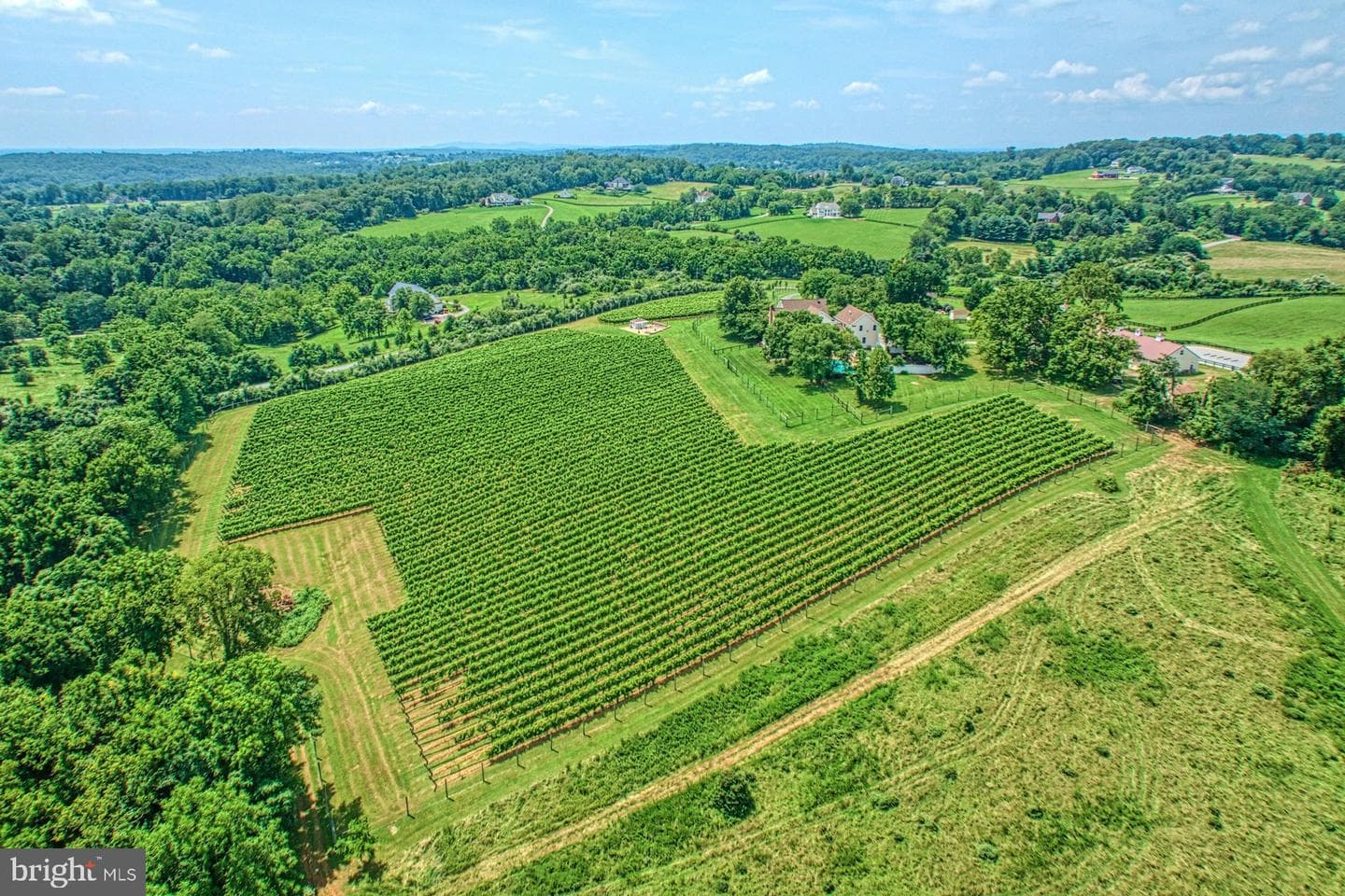 40954 Canter Lane photo 128