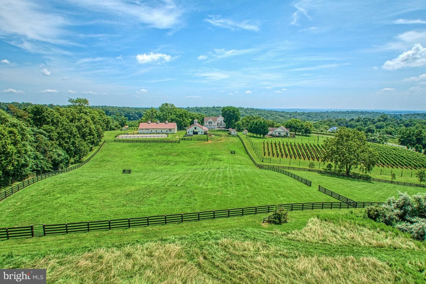 40954 Canter Lane photo 136