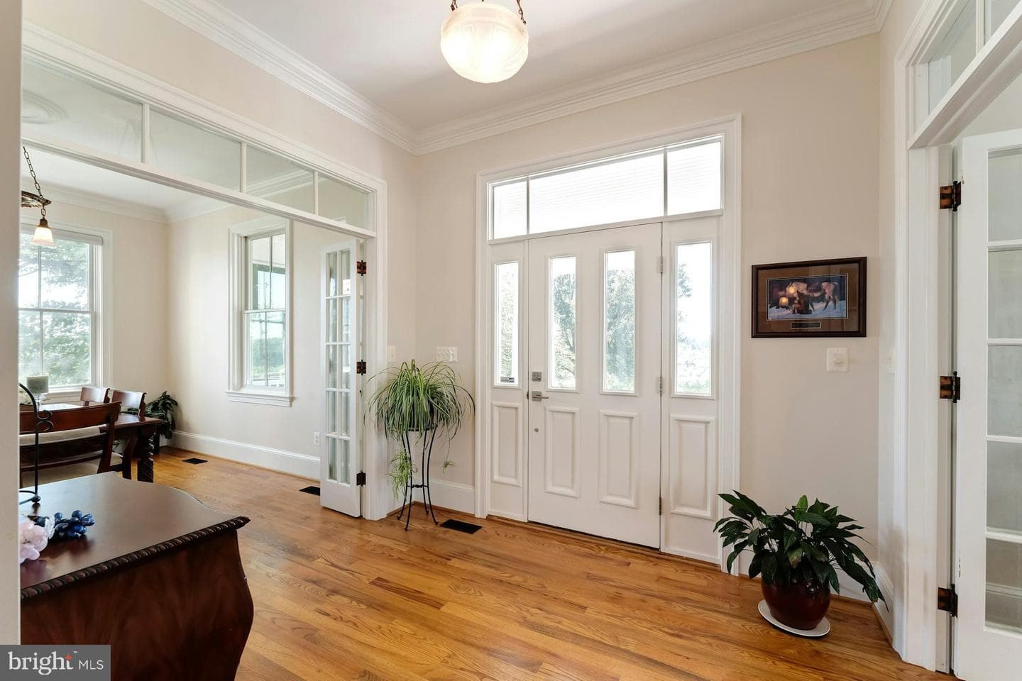 40954 Canter Lane photo 19