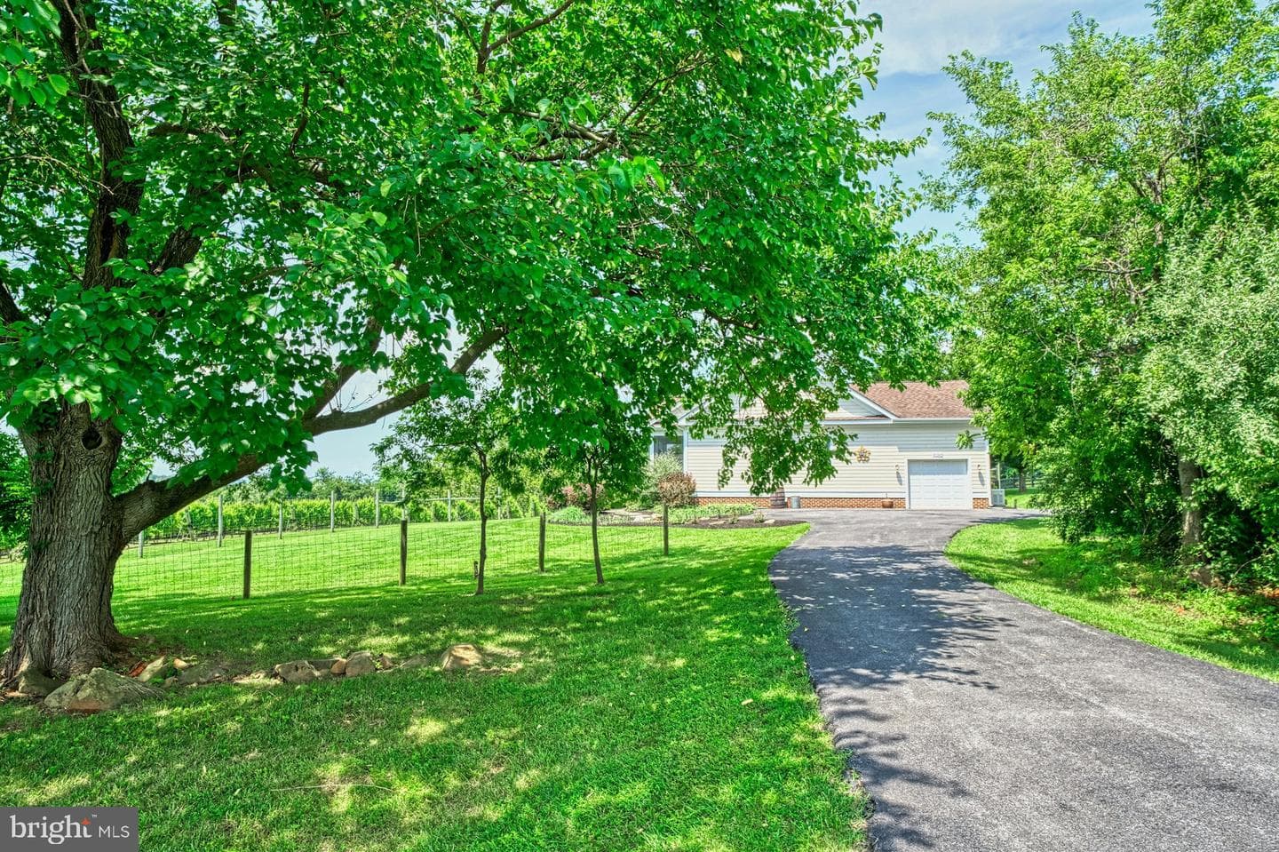 40954 Canter Lane photo 95