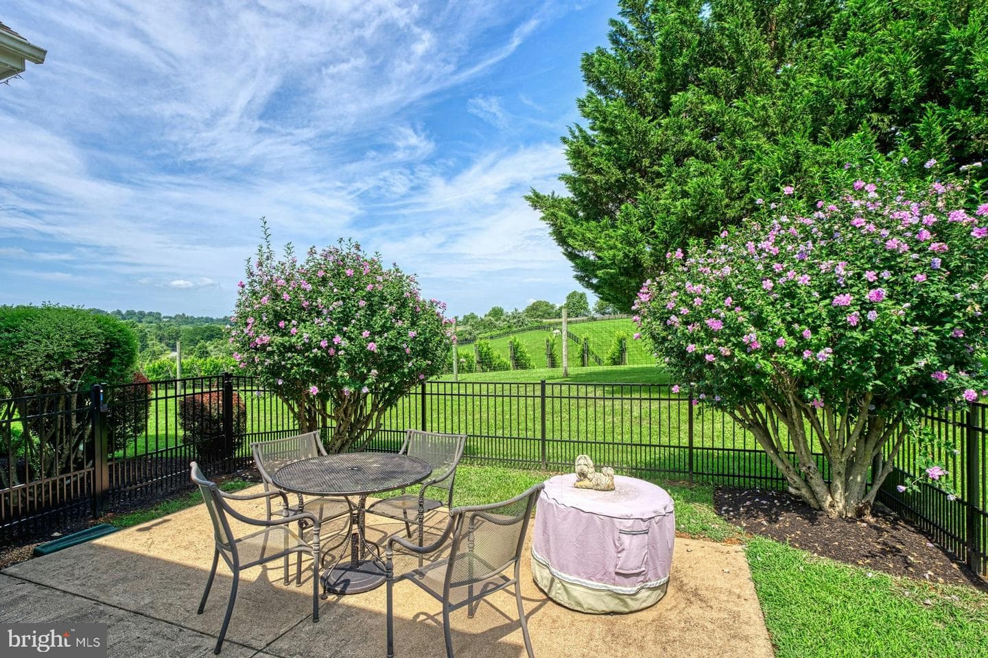 40954 Canter Lane photo 97