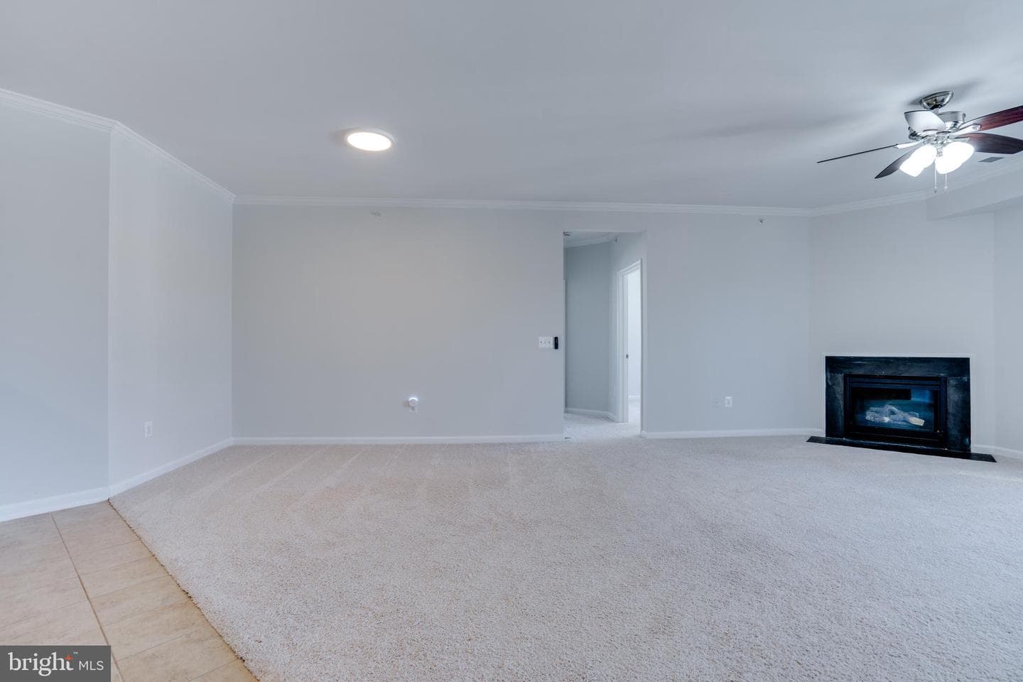 24636 Woolly Mammoth Terrace #401 photo 17