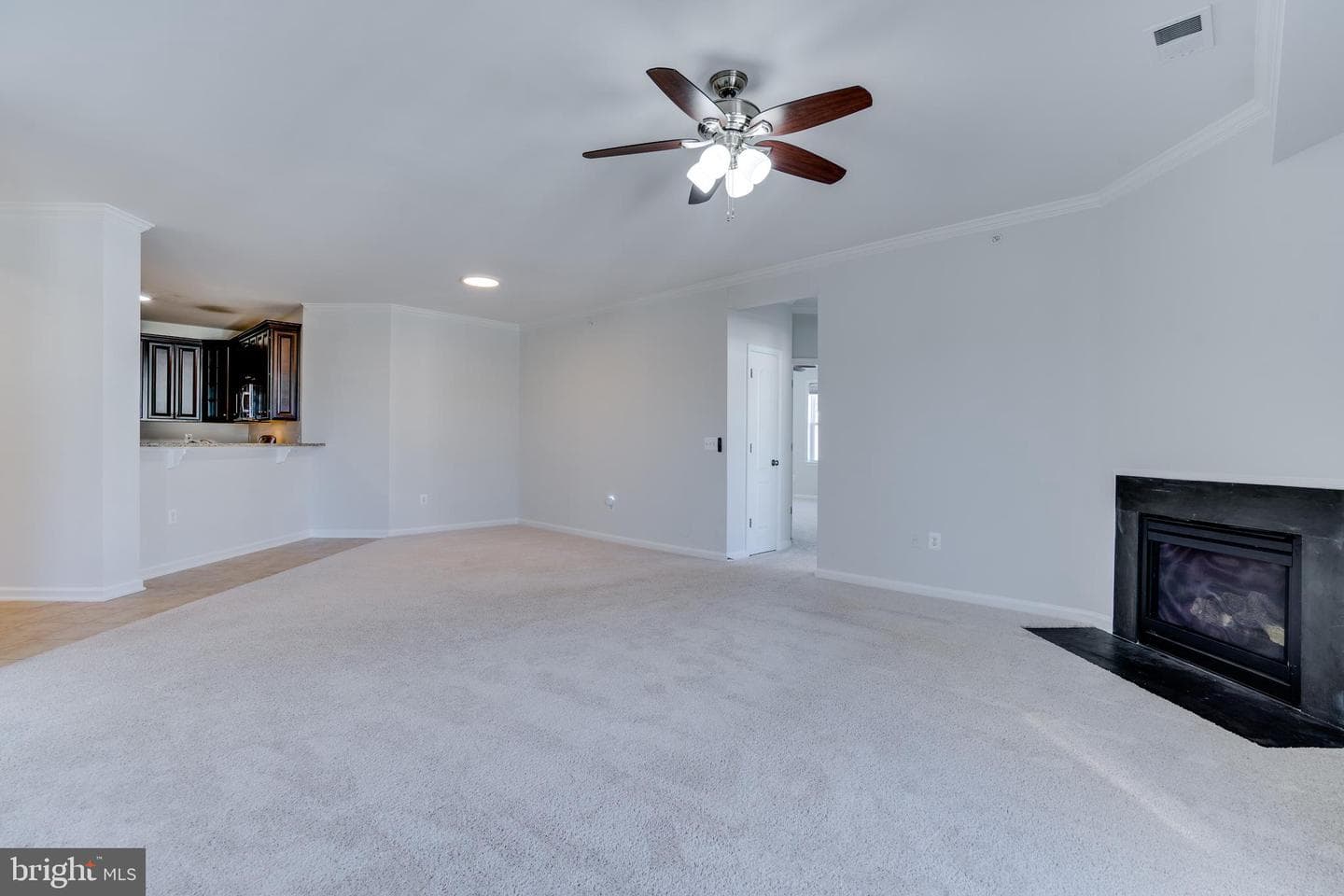 24636 Woolly Mammoth Terrace #401 photo 18