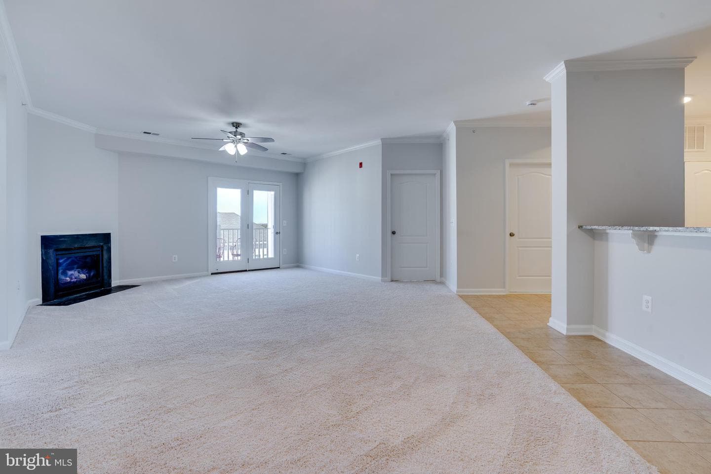24636 Woolly Mammoth Terrace #401 photo 19