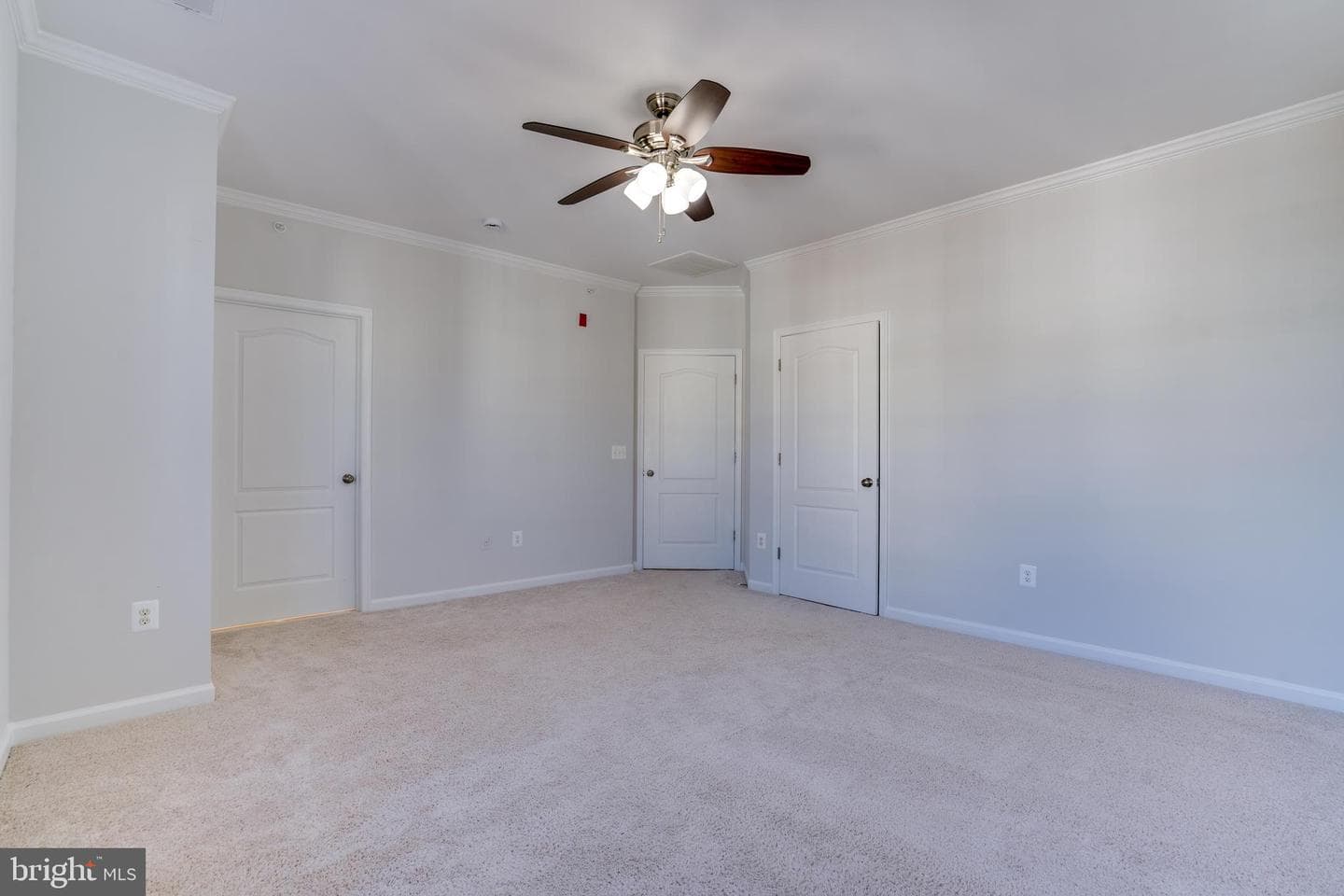 24636 Woolly Mammoth Terrace #401 photo 24