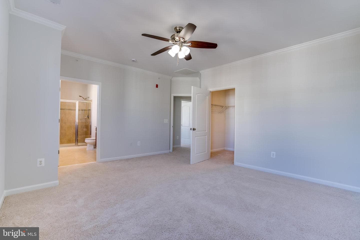 24636 Woolly Mammoth Terrace #401 photo 25