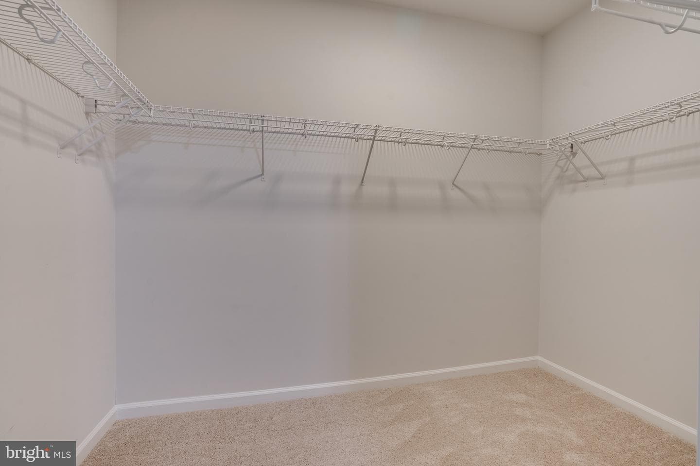 24636 Woolly Mammoth Terrace #401 photo 27