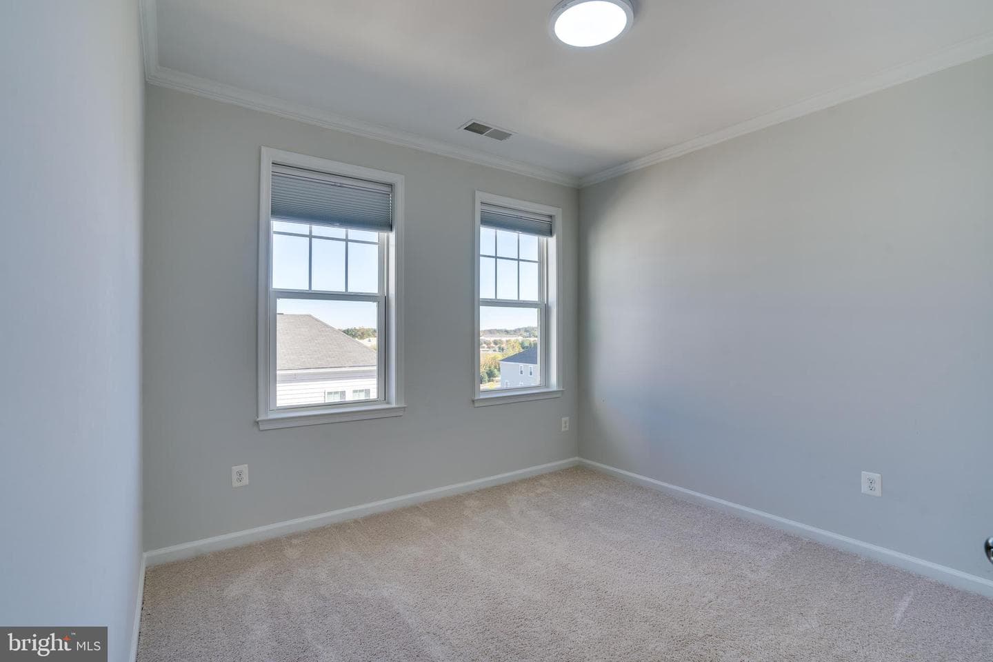 24636 Woolly Mammoth Terrace #401 photo 29