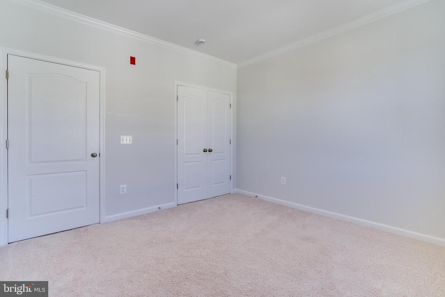 24636 Woolly Mammoth Terrace #401 photo 34