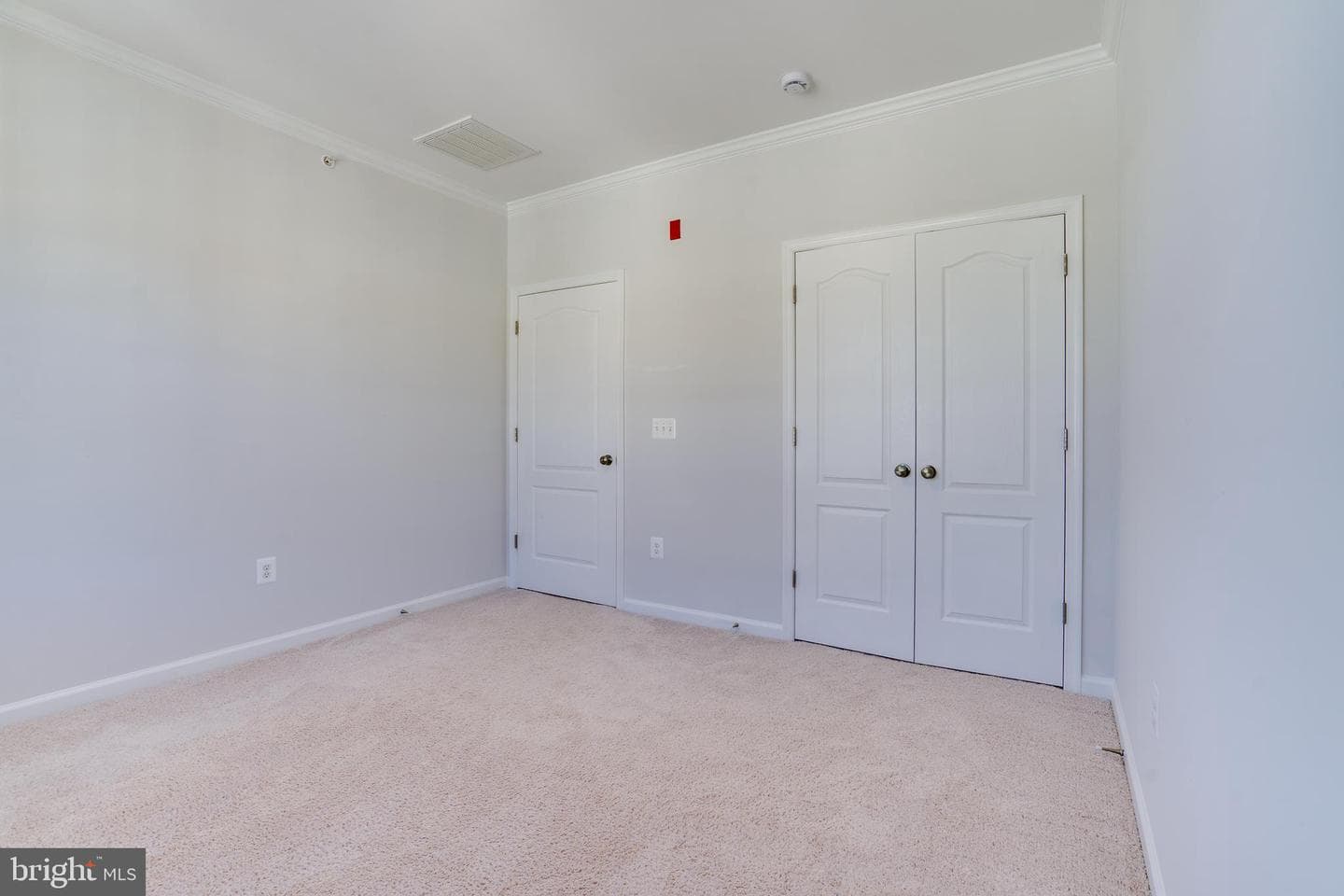 24636 Woolly Mammoth Terrace #401 photo 35