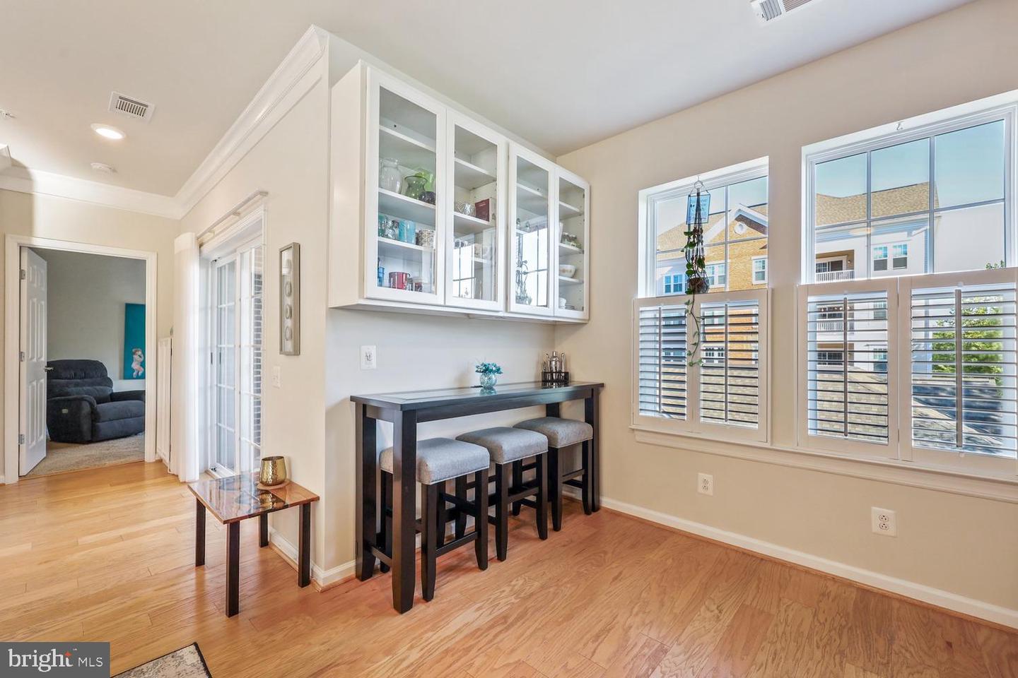 20620 Hope Spring Terrace #201 photo 12
