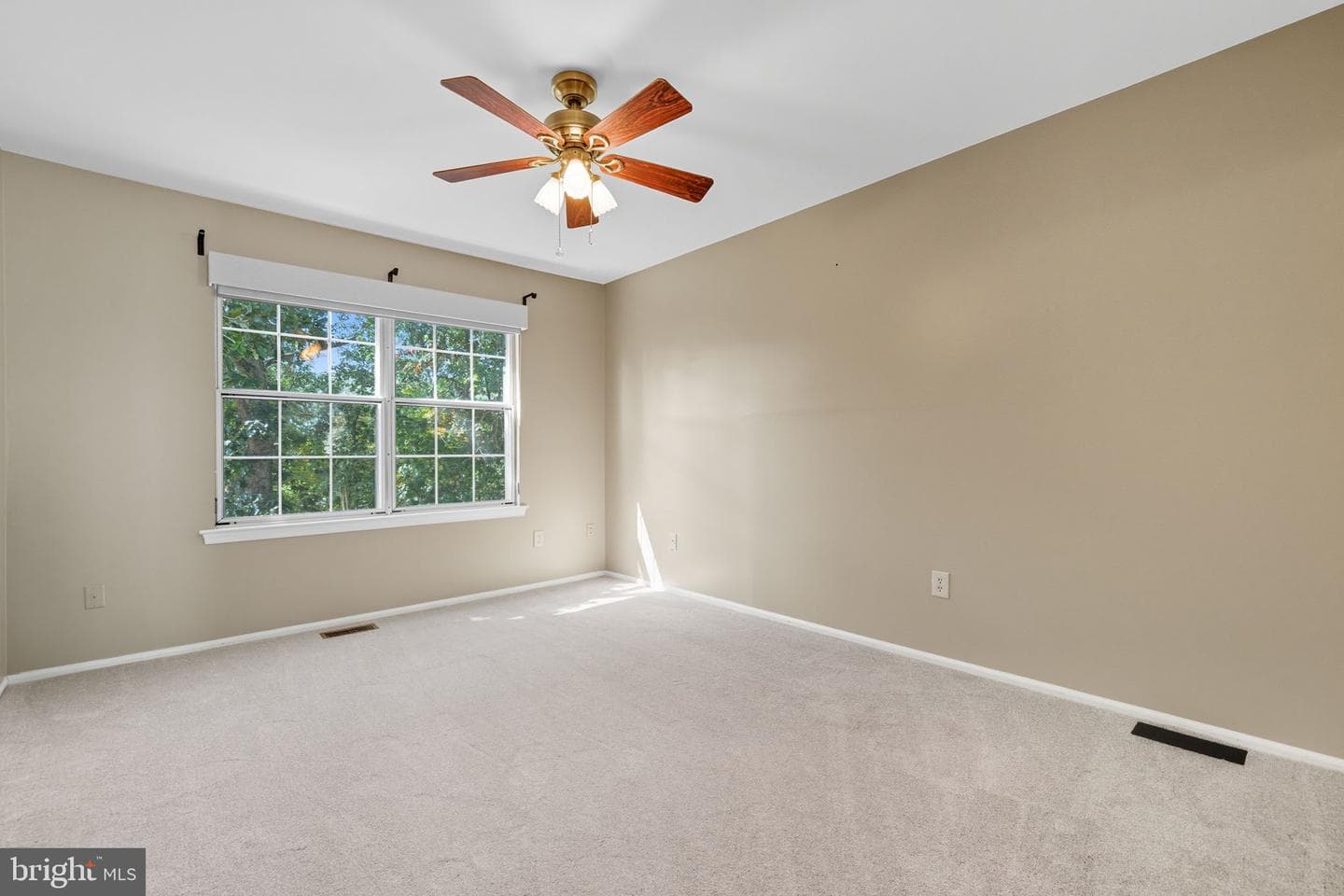 13 Braxton Drive photo 46