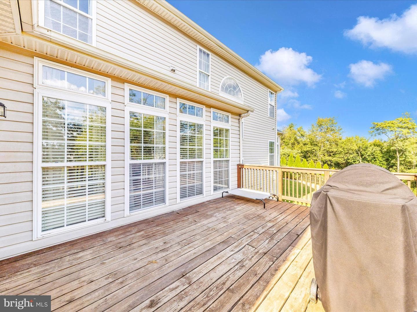 34 Lange Drive photo 48
