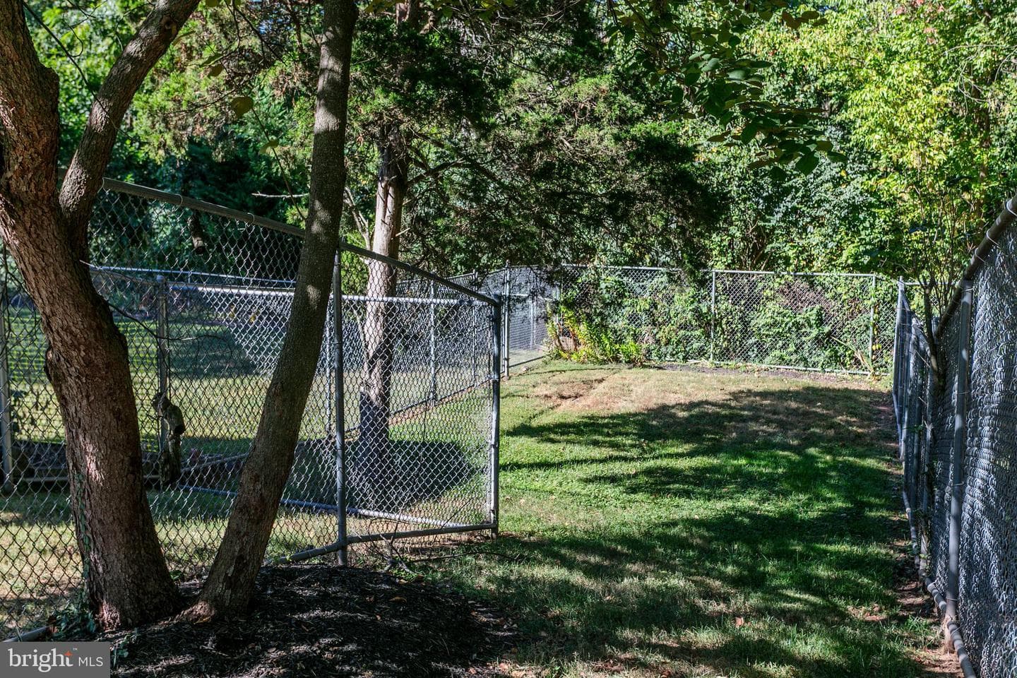 905 W Poplar Road photo 8