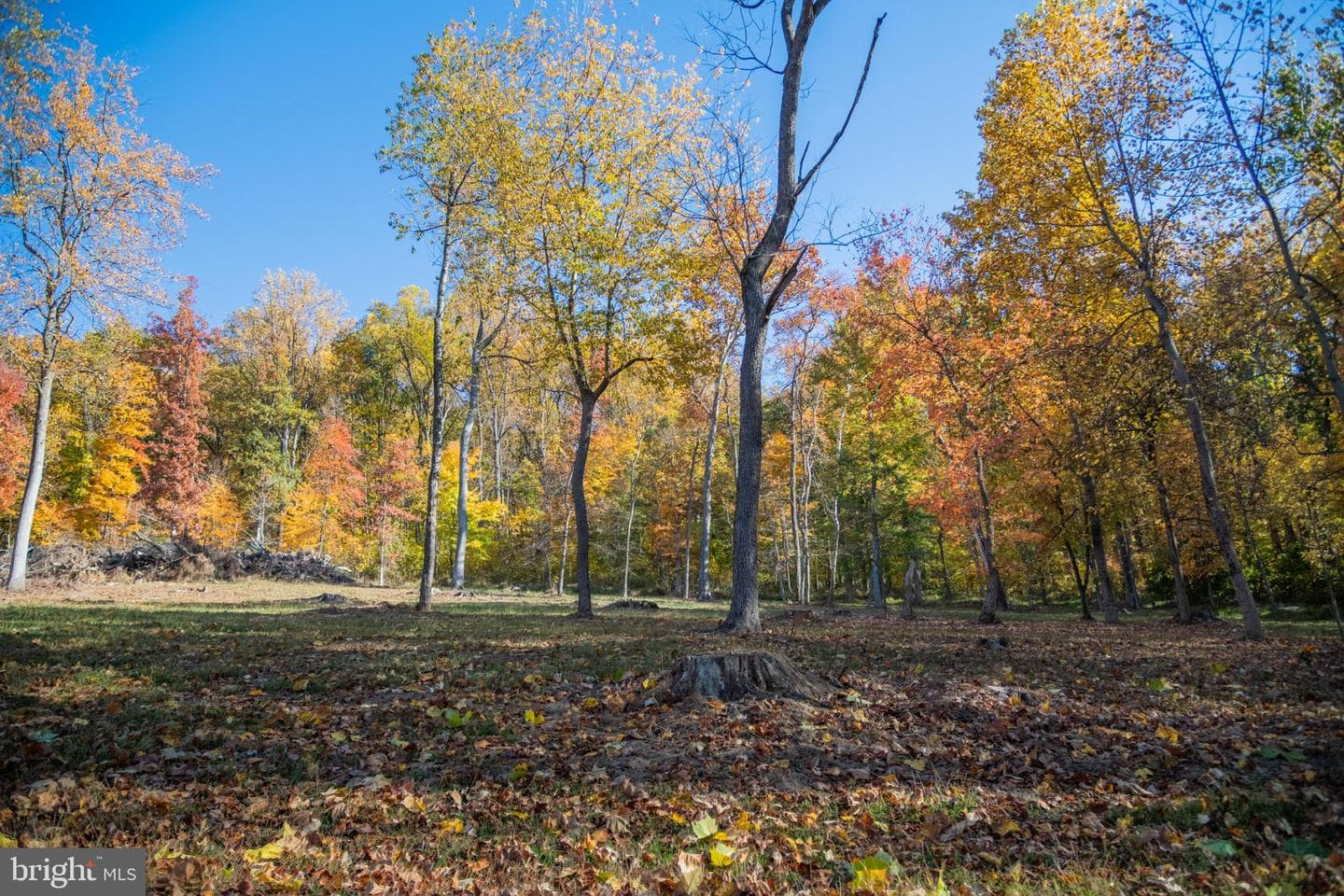 36697 Heskett Lane photo 17