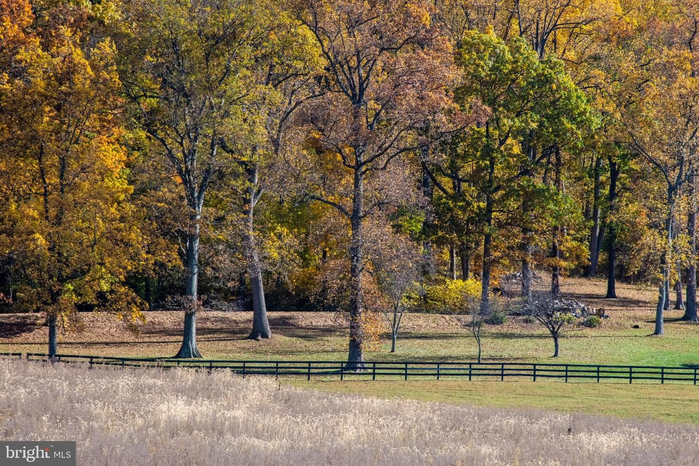 36697 Heskett Lane photo 38