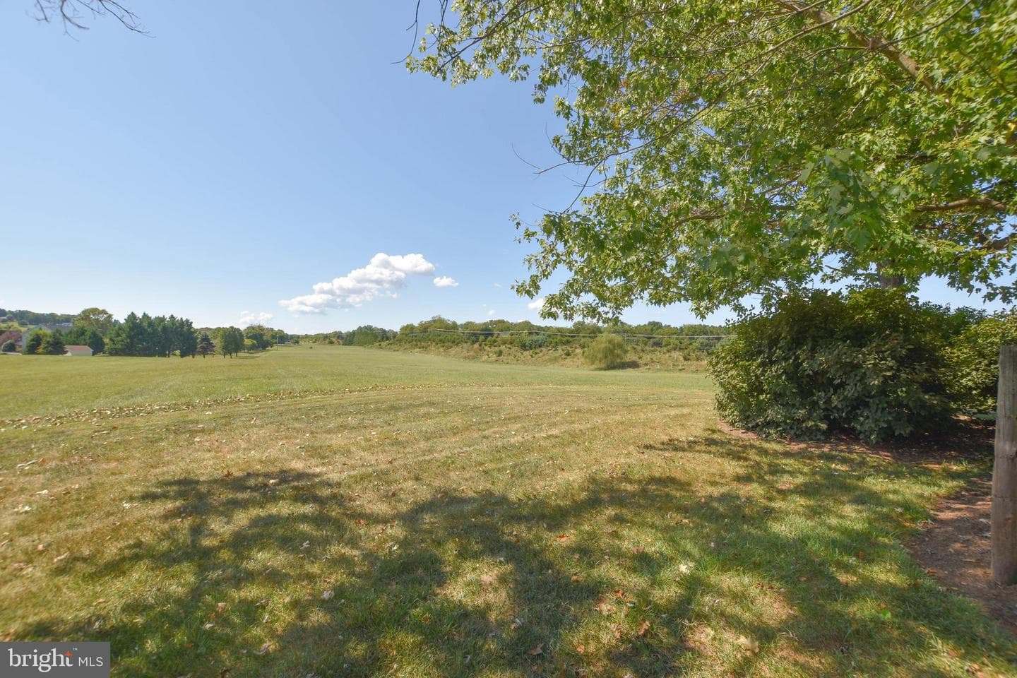 42235 Green Meadow Lane photo 4
