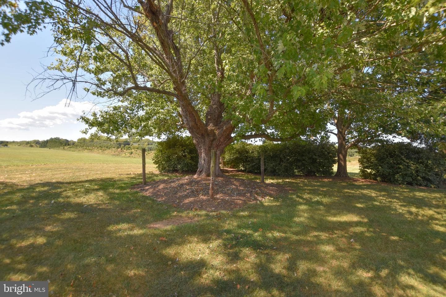 42235 Green Meadow Lane photo 5