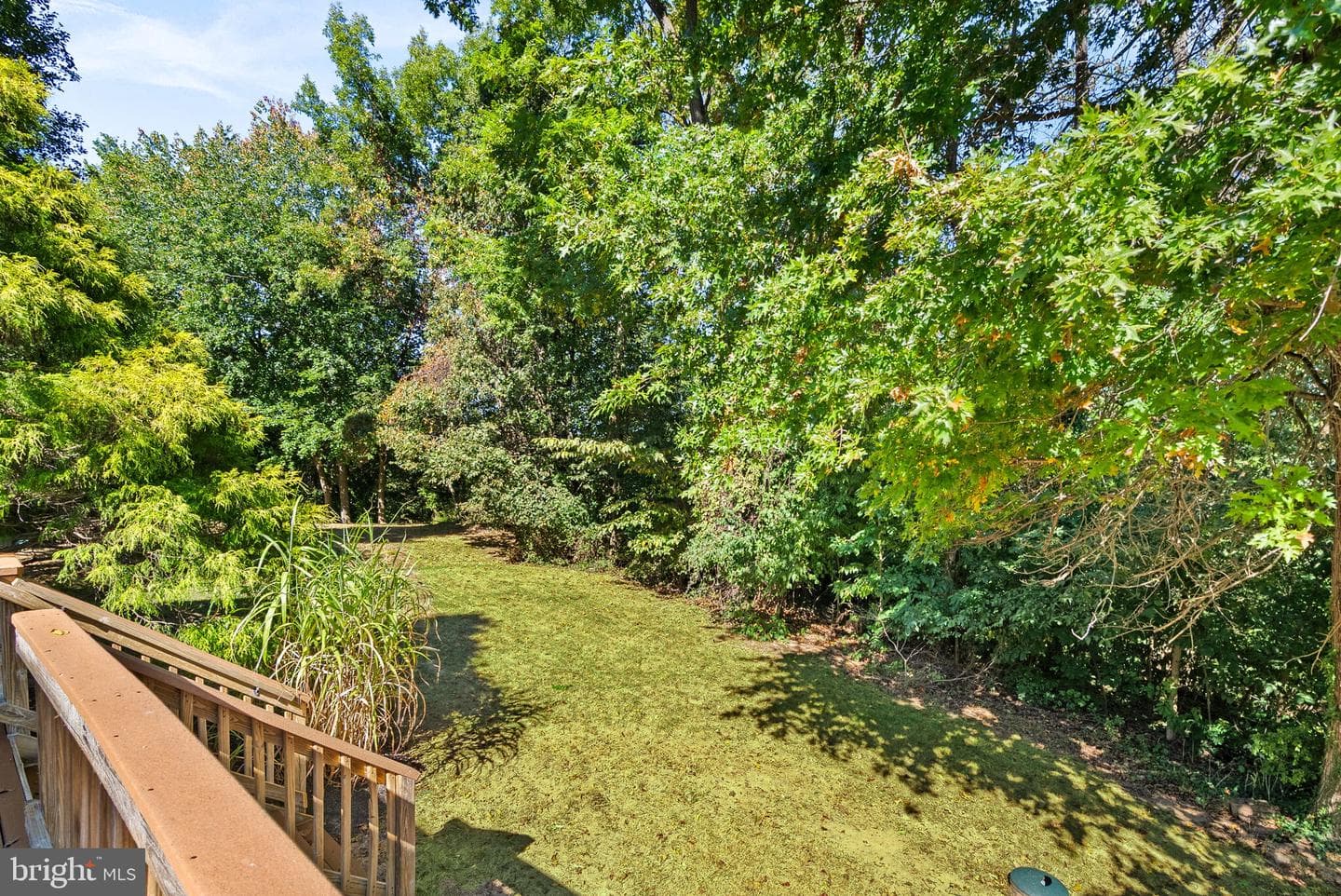 205 E Skyline Drive photo 48