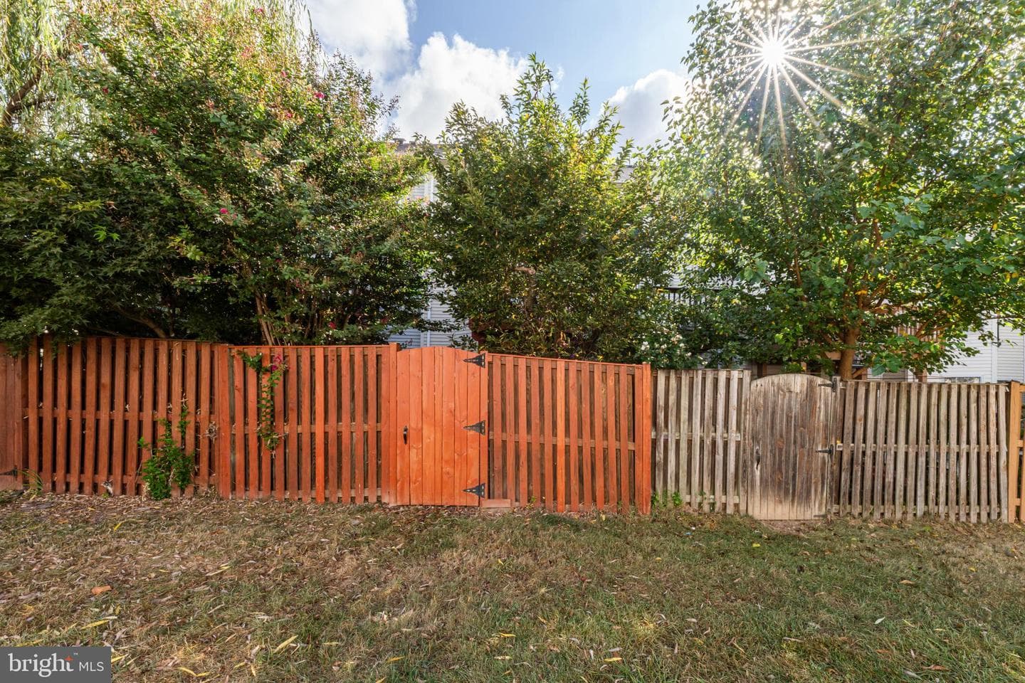 43539 Kiplington Square photo 30
