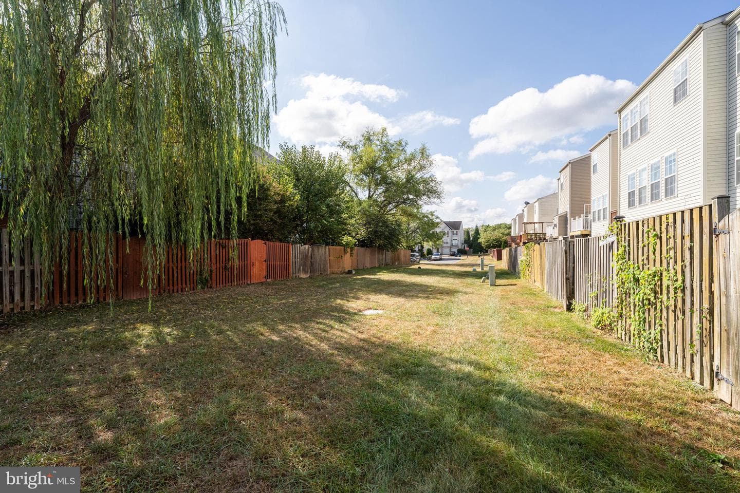 43539 Kiplington Square photo 31