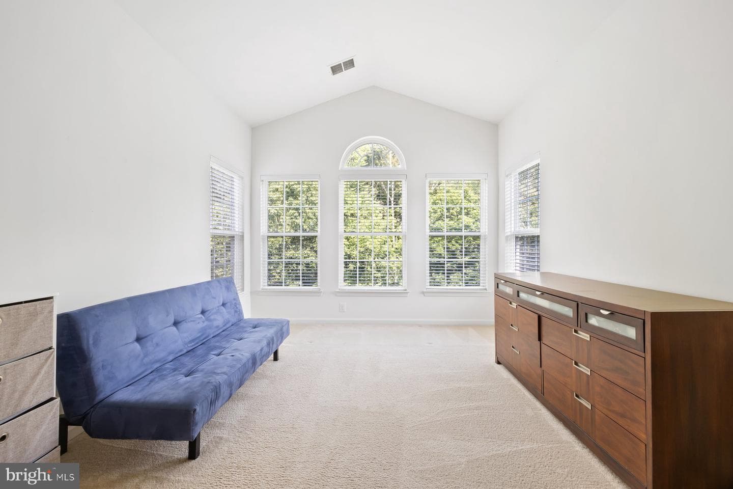 21030 Courtland Village Drive photo 53