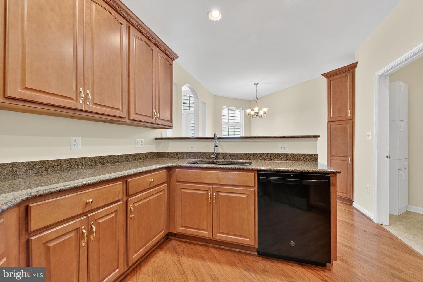 20898 Prince Lowes Terrace photo 18