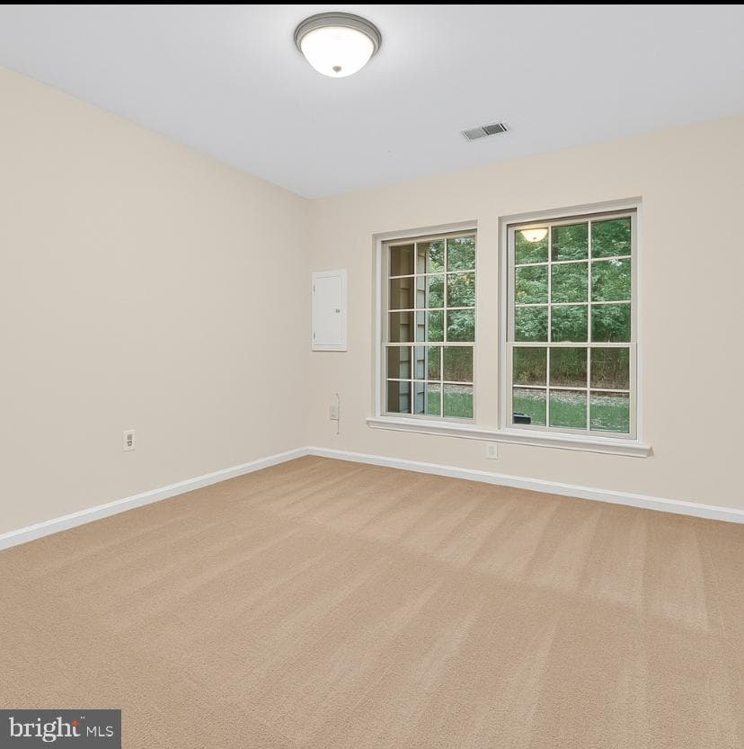 20898 Prince Lowes Terrace photo 48