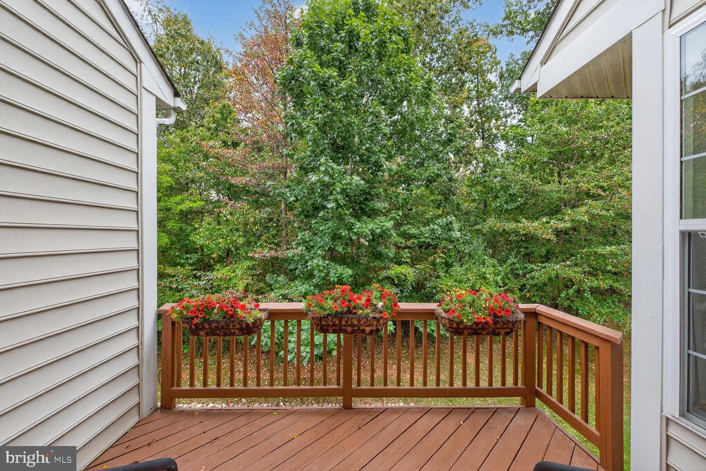 20898 Prince Lowes Terrace photo 9