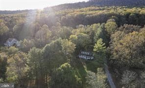 12519 Mountain Road photo 29