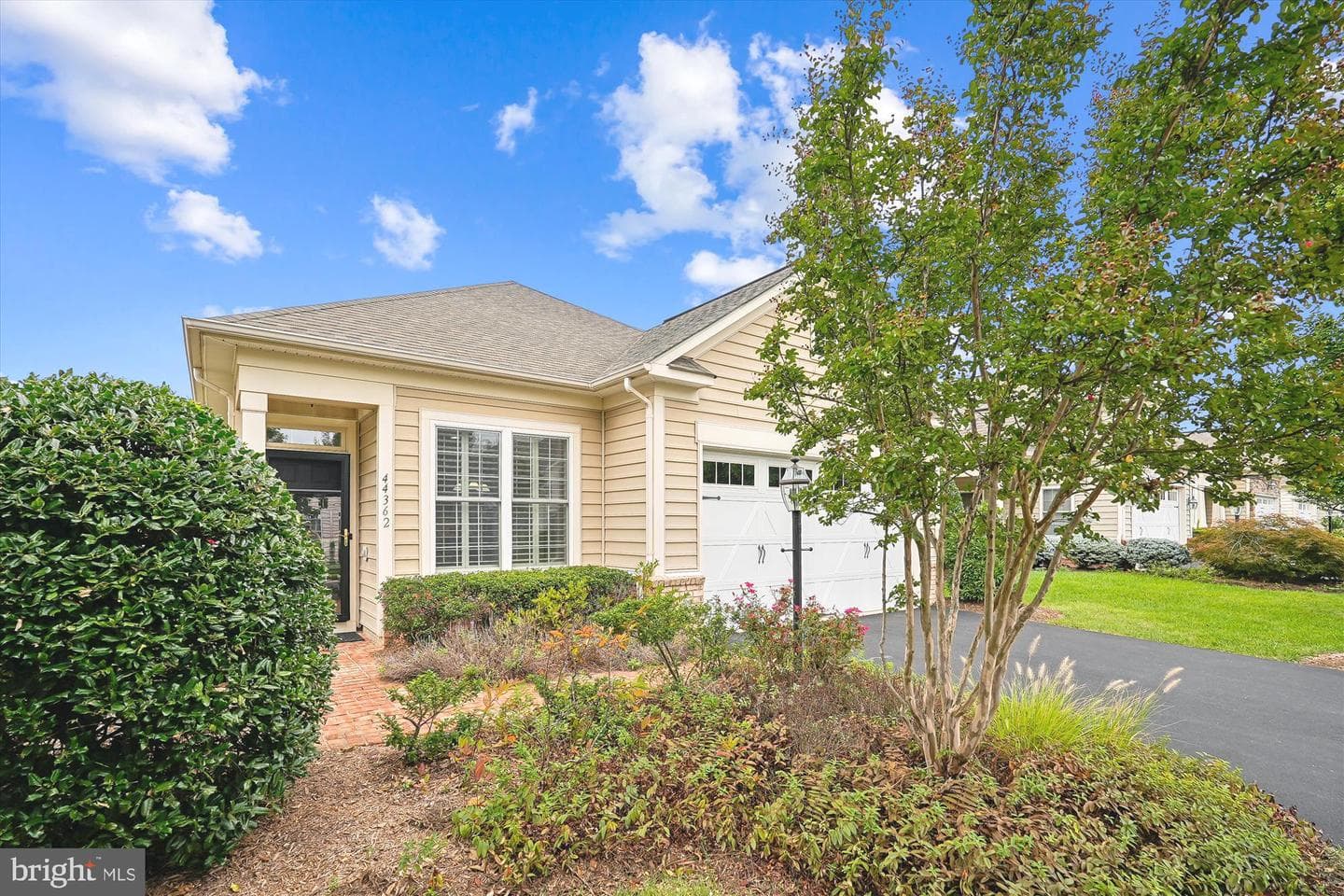 44362 Cedar Heights Drive photo 3