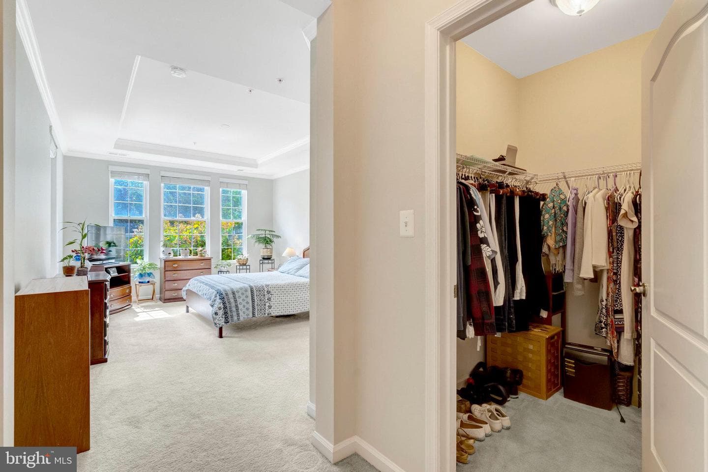 44063 Vaira Terrace photo 21
