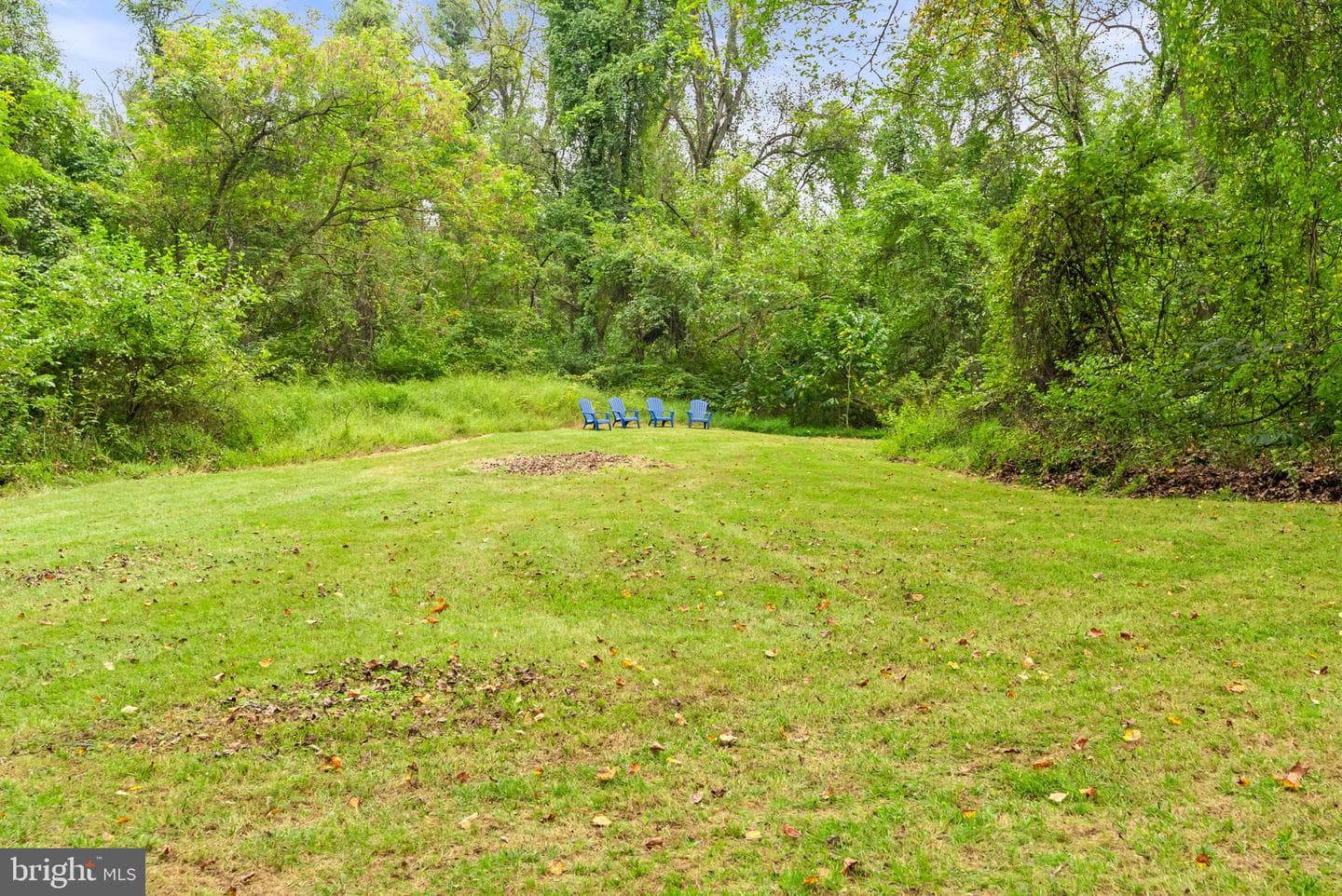 12894 Furnace Mountain Road photo 105