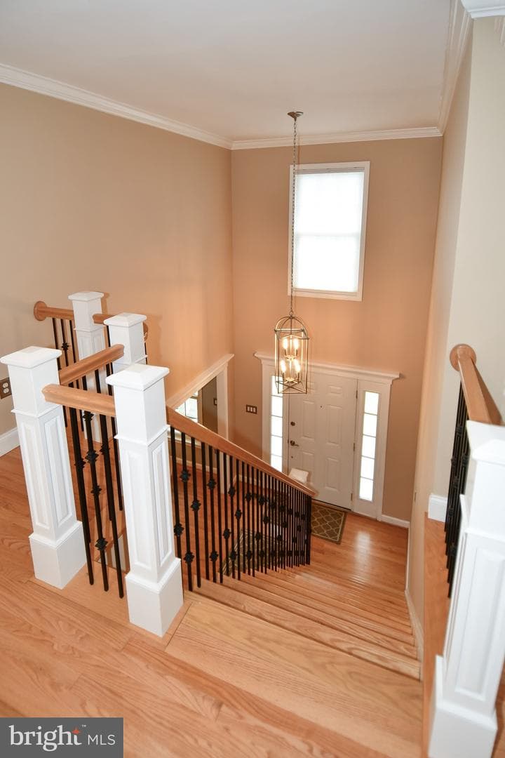 21329 Thimbleweed Court photo 36