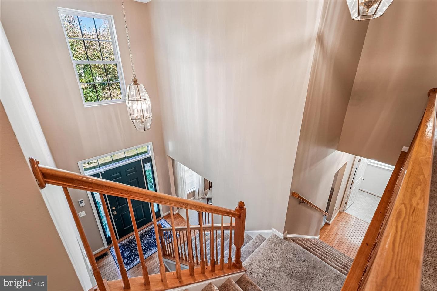 35739 Montrose Court photo 24