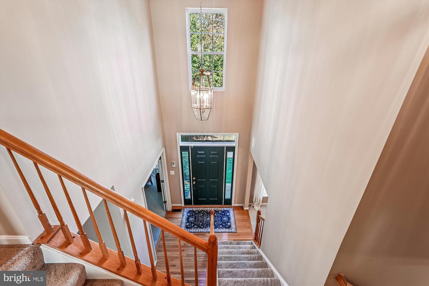 35739 Montrose Court photo 57