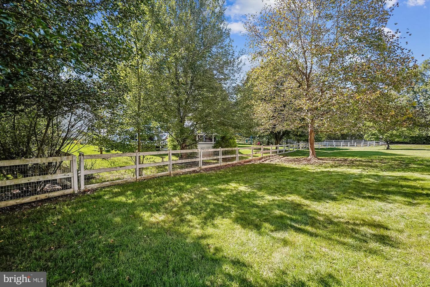 35739 Montrose Court photo 67