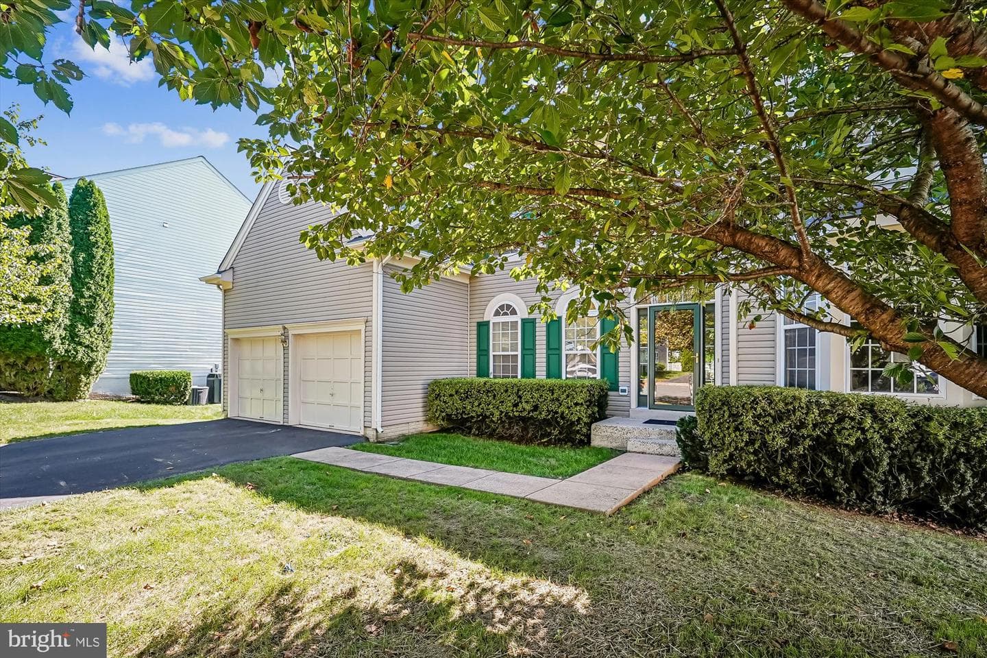 35739 Montrose Court photo 8