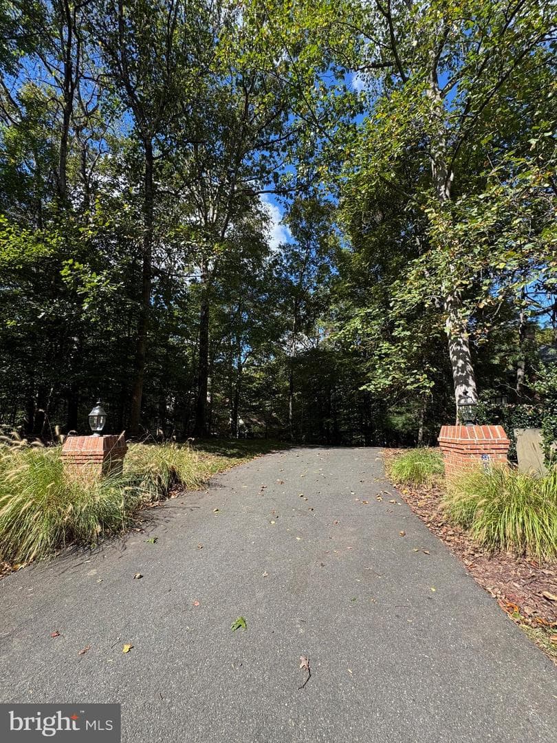 308 Sinegar Place photo 13