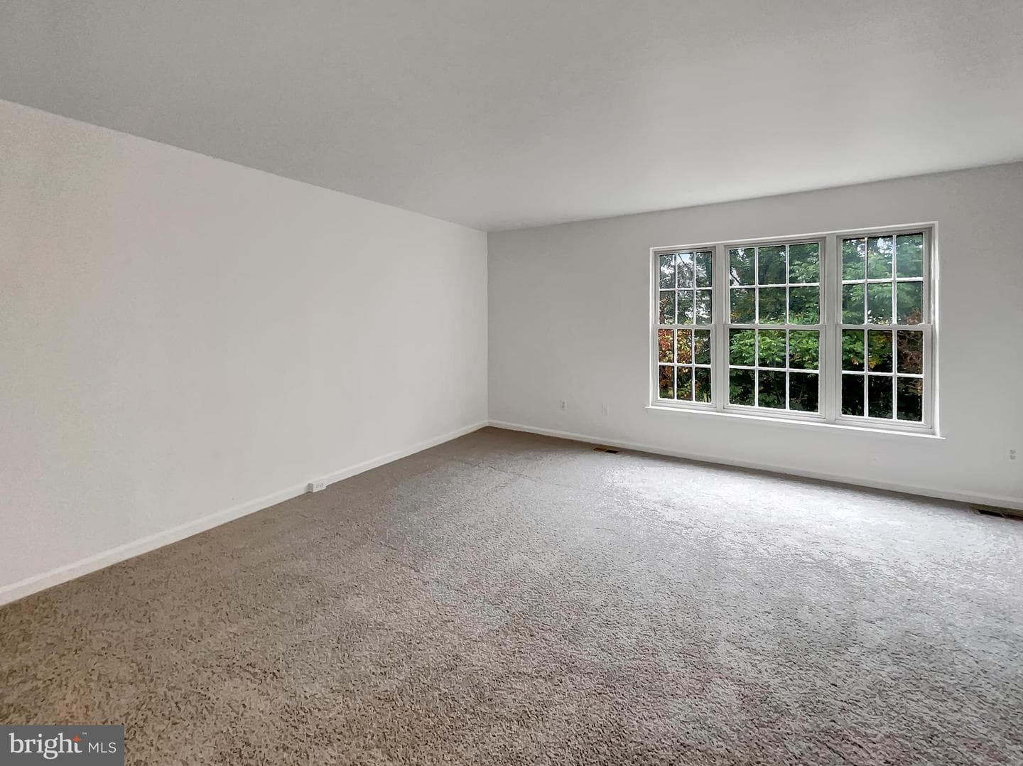 45458 Oak Trail Square photo 15