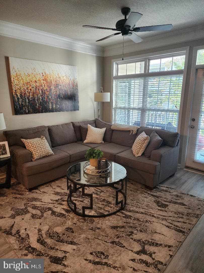 507 Sunset View Terrace SE #207 photo 5